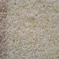 برنج چمپه