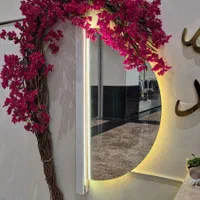 طراحی و اجرای انواع آینه بک لایت و پازلی و سنتی|آینه|بندرعباس, |دیوار