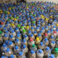 خیارشور|خوردنی و آشامیدنی|رباطکریم, رباطکریم|دیوار