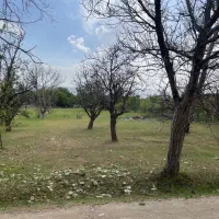 1000-متر-باغچه-با-سوئیت
