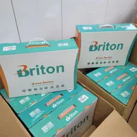 دوربین مداربسته برایتون