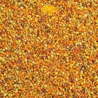 گرده گل درجه یک ایرانی