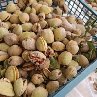 بادام پوست سنگی با پوست سبزموجود است
