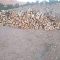 خرید چوب