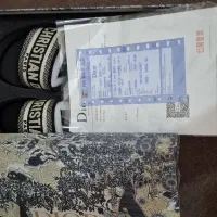 دمپایی ساحلی دیور(Christian Dior Dway Sandal)|کیف، کفش، کمربند|فیروزآباد (فارس), |دیوار