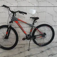 دوچرخه ویوا ریس و ویوا کنورد سایز ۲۹ در رنگ بندی