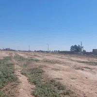 زمین کارخانه گلخانه دامداری مرغداری انبار مرغ|فروش دفتر صنعتی، کشاورزی، تجاری|مرودشت, ثبت احوال|دیوار