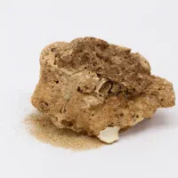 کالچر لایوراک - تسریع سیکل + باکتری فعال - آبزی‌۲۴