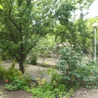 ویلاباغ ۸۰۰متری/سند تک برگ/۱۵۰متر بنا/بر آسفالت|فروش خانه و ویلا|رشت, بلوار گیلان|دیوار