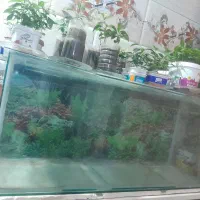 آکواریوم بزرگ