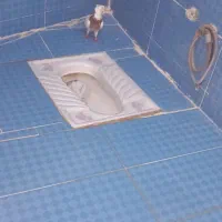 زوةاناا|پرنده|اهواز, شهرک اکباتان|دیوار