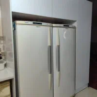 یخچال دوقلو دونار