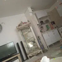 هم خونه خانم بدون حاشیه