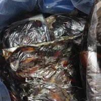 خرمای درجه یک بوشهر ۱۶۰۰۰۰ تومان|خوردنی و آشامیدنی|یاسوج, |دیوار