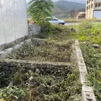 زمین تجاری برجاده