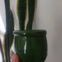 کاسه ماست بندی