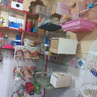 پرنده سرای بیزیم قناری در سیلاب قوشخانه|پرنده|تبریز, |دیوار