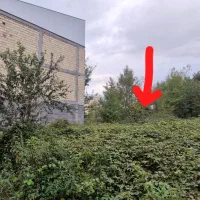 زمین-80-متری-شهری-در-شمال