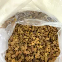 کشمش و مویز کاشمر|خوردنی و آشامیدنی|سبزوار, توحیدشهر|دیوار