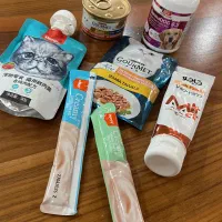 خوراکی گربه