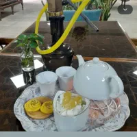 سالن دار مجرد و مجرب