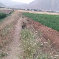 فروش زمین دهپهن 1400متر|فروش زمین و ملک کلنگی|کرمانشاه, |دیوار