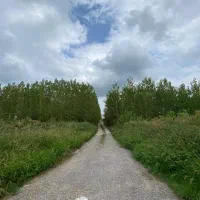 فروش-مرغداری-گوشتی-30-هزارتایی-در-صومعه-سرا