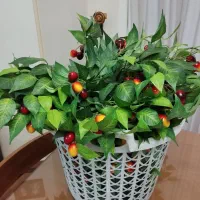 شاخه گیلاس مصنوعی خارجی|گل مصنوعی|فردیس, فردیس|دیوار