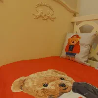 تخت خواب و تشک کودک