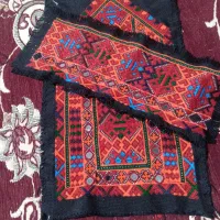 زیاستین فنوجی|لباس|خاش, |دیوار