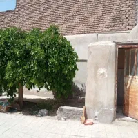 منزل-فروشی-علیمردانی