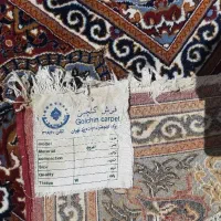 فرش ۱۲ متری ماشینی در حد نو|فرش|کرمان, |دیوار