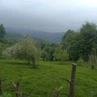 زمین و باغ متصل به منزل مسکونی