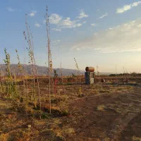 فروش باغ|فروش زمین و ملک کلنگی|هیر, |دیوار