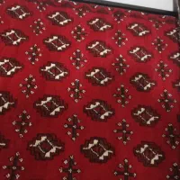 قالیچه دستباف درحدنو|فرش|تربت‌حیدریه, شهرک ولیعصر|دیوار