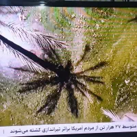 تلویزیون ال ای دی 43 اینچLG و رادیو ضبط فلشخور|تلویزیون و پروژکتور|تبریز, |دیوار