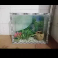 آکواریوم سالم