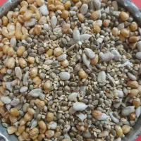 لواشک خونگی.گندم شاهدونه بوداده.کشمش و مویز|خوردنی و آشامیدنی|تهران, فرزانه|دیوار