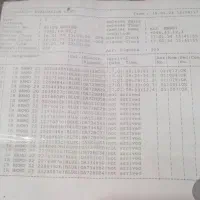 کبوتر پلاکی مسافتی بازرگان نشسته