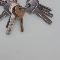 دسته کلید گم کردم