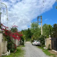 مجتمع-خصوصی-نوساز-جنگلی-دریاچه-قو