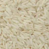 برنج هاشمی فروشی