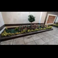 خدمات باغبانی و کشاورزی|خدمات باغبانی و درختکاری|زاهدان, |دیوار