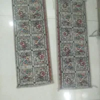 پادری نو تعداد
