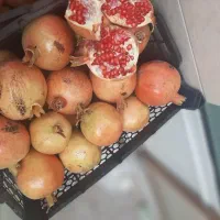 انار آب دار|خوردنی و آشامیدنی|قم, دورشهر|دیوار