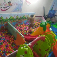 خانه بازی|خدمات آموزشی|خرمآباد, |دیوار