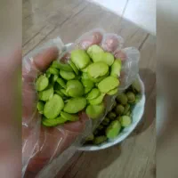 باقله پوست میکنم کیلو ۳۰