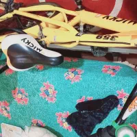 فروش فوری دوچرخه