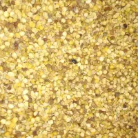 نخود لپه مناسب فلافل و آرد نخود عطاری