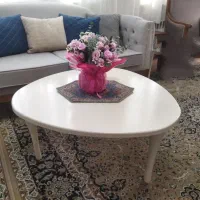 جلومبلی چوبی صدفی شرکتی پایه جدا نواکبند